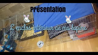 Présentation Lenclos intérieur de ma lapine 🐇 [upl. by Greenstein377]