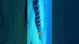 The Internets Secret Undersea Cables Explained 🌊💡technology GlobalConnectivity DigitalWorld [upl. by Waylin]