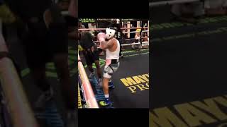 GERVONTA DAVIS SPARRING MIDDLEWEIGHT TO GET READY FOR ROLLY ROMERO [upl. by Mahda]