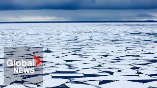 Antarctic sea ice melting faster than ever amid accelerating climate change effects data shows [upl. by Irrab345]