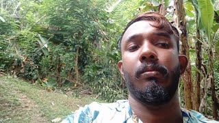 මාව මතකද live chat box chatuwa vlogs [upl. by Yarezed474]