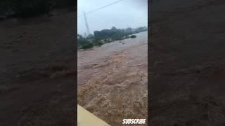 Flood  Kamandala Naganathi River  Arni flood river arnis cyclone nathi shorts trending [upl. by Malha]