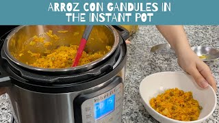 Arroz con Gandules in the Instant Pot [upl. by Eiramlatsyrk]