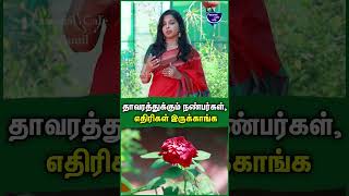 இந்த செடிக்கு பக்கத்தில் இந்த செடியை வைங்க  Jayashree  Home Garden in Tamil homegarden garden [upl. by Emrich206]