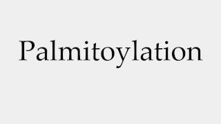 How to Pronounce Palmitoylation [upl. by Ahsilad]