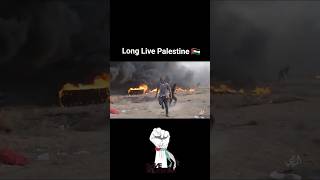 Leve palestina  long live Palestine Palestinian boy dance in war near fire  viral video [upl. by Ragouzis638]