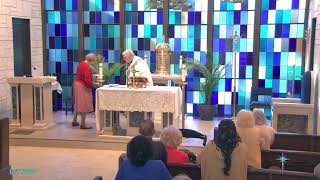 Nativity Catholic Church Live Stream [upl. by Laughton156]