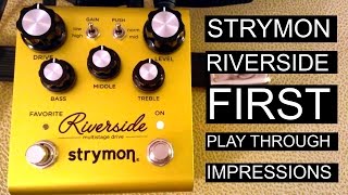 Strymon Riverside First Play Through Impressions [upl. by Zena164]