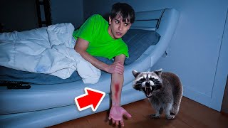 A Vicious Raccoon ATTACKED Me In The Middle Of The Night [upl. by Lavinia]