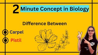 Carpel and Pistil Difference  Biology  apnasapnajrf [upl. by Ruelle242]