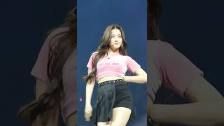 Nancy Jewel Mcdonie  Momoland Concert Kpop [upl. by Swanhildas]