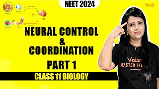 Neural Control and Coordination Part 1  Class 11 Biology  NEET 2024  Parveen Maam [upl. by Leal]