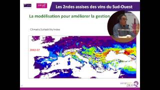 La flavescence dorée en Suisse et sa gestion par Mauro Jermini Agroscope Cadenazzo [upl. by Eimmij]