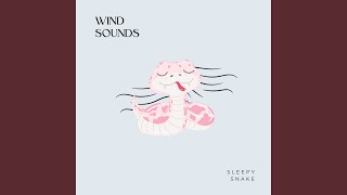 whistling wind sounds [upl. by Sirhc]