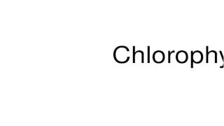 How to pronounce Chlorophyceae [upl. by Constantino]