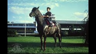 Escena EPICA carrera final de la pelicula quotEl Corcel Negroquot The Black Stallion [upl. by Watanabe]