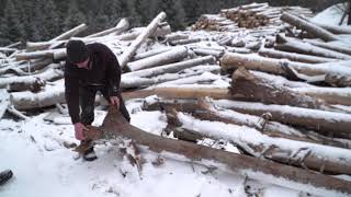 Adirondack Sawmill Exudes Community Spirit [upl. by Octavian]