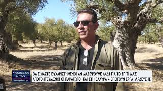 quotΕυχαριστημένοι αν μαζέψουμε λάδι για το σπίτι μας Απογοητευμένοι οι παραγωγοί amp στη Βαλύρα [upl. by Aienahs889]