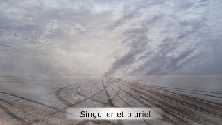 Singulier et pluriel 142  La Rubrique de Frédérique [upl. by Elleoj266]