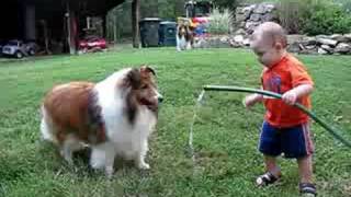 baby and dog play with hose [upl. by Minabe]