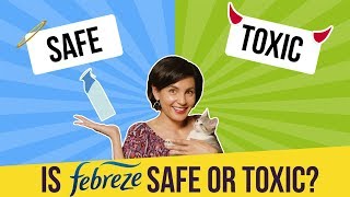 Is Febreze Safe or Toxic [upl. by Nnairol160]