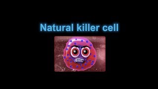 Supercytes cartoon  Natural killer cell [upl. by Cinomod511]