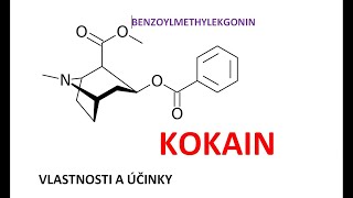 Kokain  benzoylmethylekgonin  vlastnosti účinky a nežádoucí účinky [upl. by Anillek512]