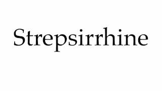 How to Pronounce Strepsirrhine [upl. by Emad]