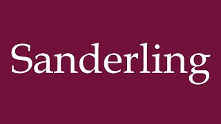 How to Pronounce Sanderling Correctly in German [upl. by Eimmak]