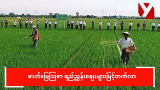 ဓာတ်မြေဩဇာ ရည်ညွှန်းဈေး များမြင့်တက်လာ [upl. by Erma641]