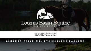 Equine Sand Colic Signs amp Symptoms Diagnosis and Treatment [upl. by Ap]