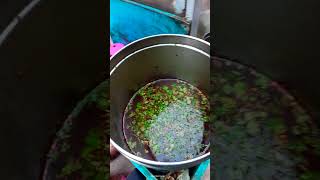 Mouthwatering panipuri spicypanipuri panipuri MrBeast CarryMinati spicy [upl. by Pain]