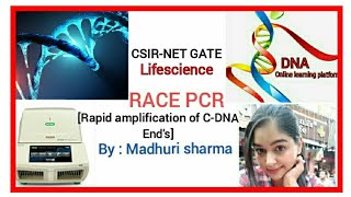 RACE Rapid amplification of CDNA Ends CSIRNETGATETECHNIQUES [upl. by Hafler]