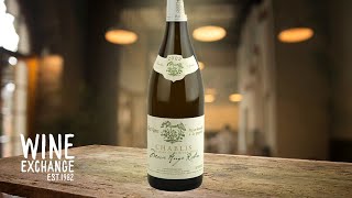 Incredible OldVine Chablis at an Equally Incredible Price [upl. by Ahsiekrats4]