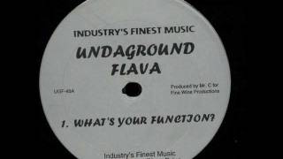 Undaground Flava  Whats Your Function [upl. by Wicks]