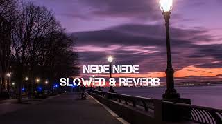 NEDE NEDE SONG  SLOWED amp REVERB [upl. by Lleddaw]