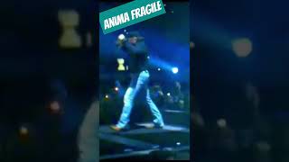 Anima fragile live youtubeshorts song vasco music reels memes beautiful [upl. by Sterrett]