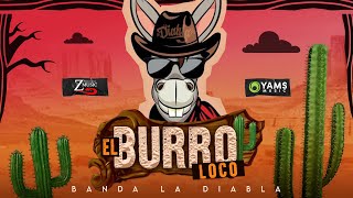 El Burro Loco  Banda La Diabla  Oficial [upl. by Atarman790]