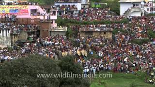 Devidhura Bagwal  One of the largest gatherings in Champawat District [upl. by Arch]