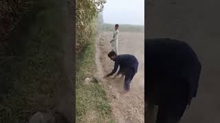 Agriculture farming tolls shorts satisfying villagelife [upl. by Sukul]