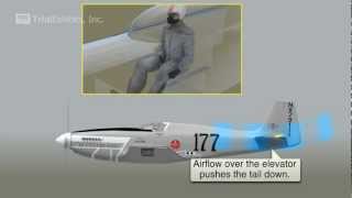 Reno Plane Crash 3D Animation [upl. by Anneyehc]