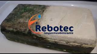 Rebotec Impermeabilizante para parede laje piscina [upl. by Lipscomb]