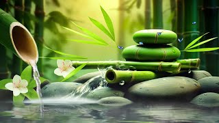 Relaxing Sleep Music  Insomnia Stress Relief Relax Sleep Spa amp Meditation Music Heart Healing [upl. by Ettolrahc]