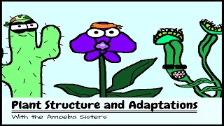 OLD VIDEO Plant Structure and Adaptations [upl. by Mudenihc]