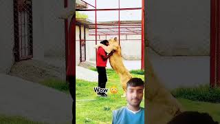 Wow 😯 dog dog doglover animals lion love song music bollywood hindisong bollywoodsongs [upl. by Gustafson]