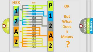 DTC Volkswagen P12A2 Short Explanation [upl. by Ikairik]