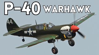 P40 Warhawk [upl. by Hploda]