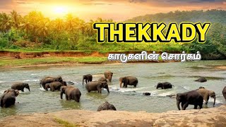 Thekkady Kerala  Things to do in Thekkady  Exploring Kerala [upl. by Natsirc747]