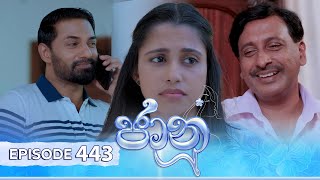 Jaanu  Episode 443  20241105  ITN [upl. by Seaden]