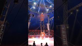 Circo Orfei italy circus italy fyp viralshorts modena acrobatics [upl. by Tatman56]